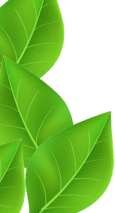 leaf-header-border-left