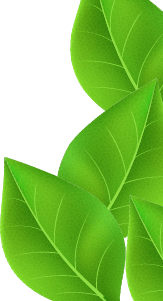 leaf-header-border-right