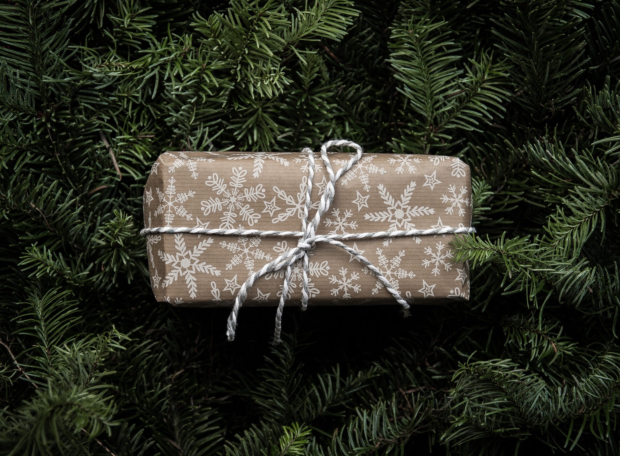 Gift Of Home Comfort 12.19 Unsplash Annie Spratt 1 Scaled 1