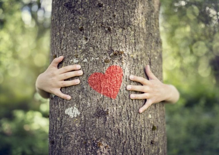 Planting Trees Istock Brianajackson E1525182471906 1