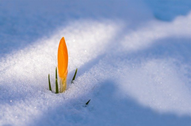 Transition of Heating Season to Cooling Season