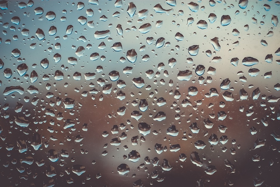 Signs a Dehumidifier would be Beneficial