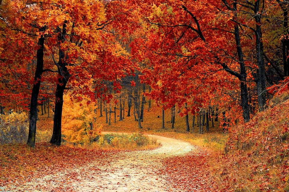 5 Reasons Every Homeowner Should Schedule a Fall Tune-Up (and Why You Shouldn’t Put it Off!)