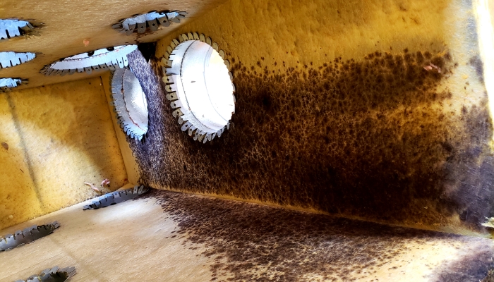 Dirty Air Duct Dirty Air Duct
