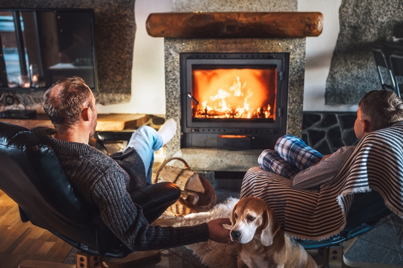 The Basics of Winter Father with son sitting in comfortable armchairs in their cozy country house near fireplace and enjoying a warm atmosphere and flame moves. Their beagle dog sitting beside on white sheepskin.