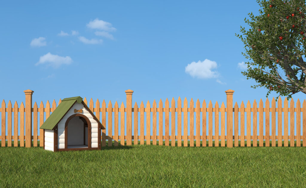 What Are The Best Fences For Dogs